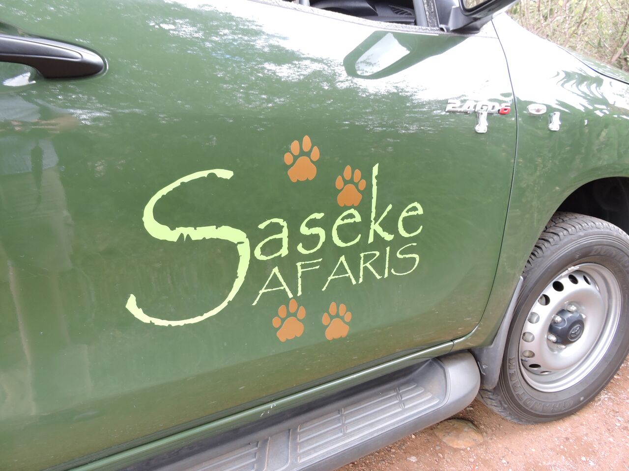 saseke-safaris